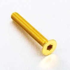 VISSERIE CARENAGE PROBOLT M5 35mm GOLD
