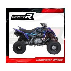 DECATALYSEUR RAPTOR 700 R
