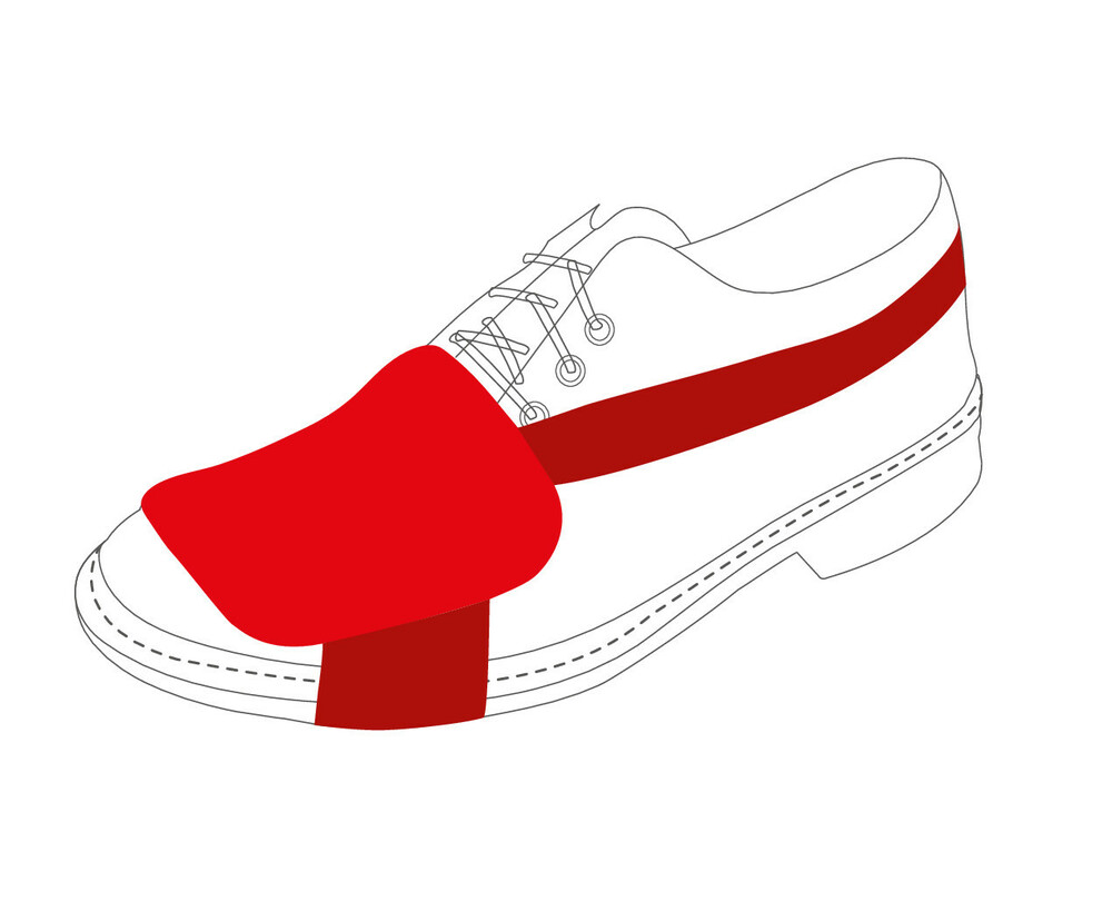 Protection pour chaussure